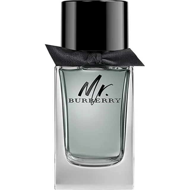 MR Burberry