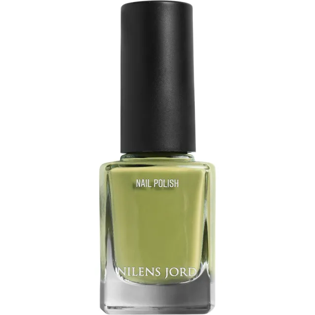 Nail Polish Pastel Green