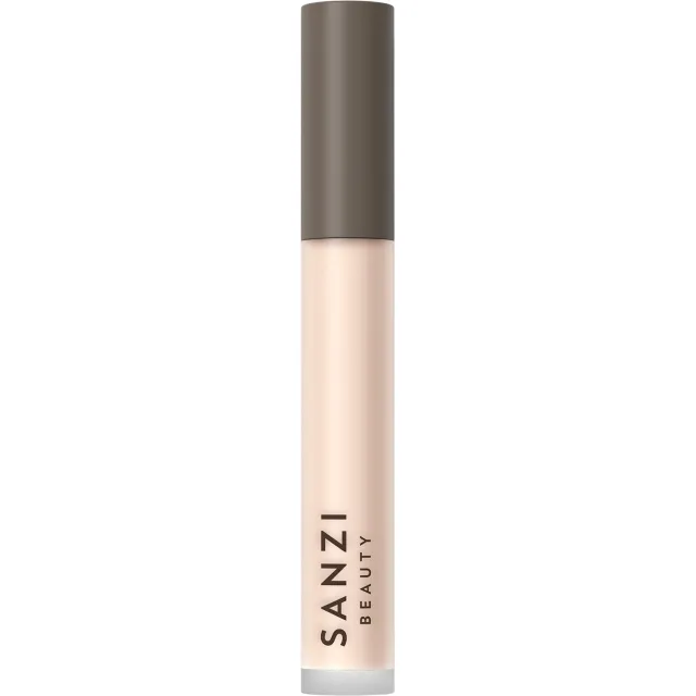Perfecting Concealer