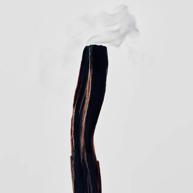 Loewe Palo Santo Candle
