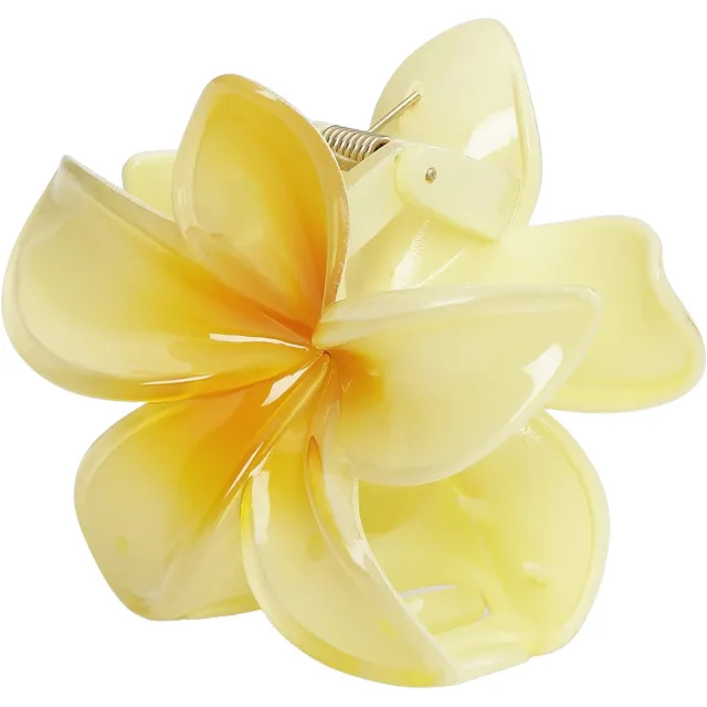 Plumeria Bisou Big