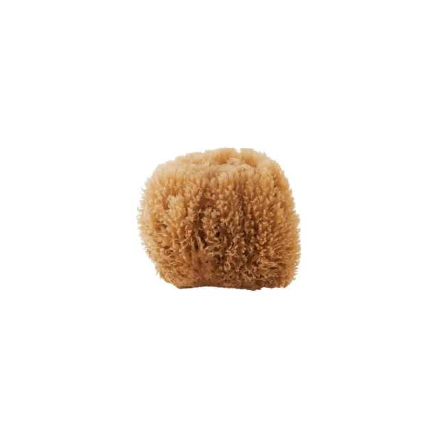 Meraki Sponge  Bahamas (1 stk)