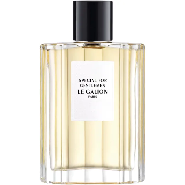 LE Galion Special For Gentlemen EdP Natural Spray 100 ml